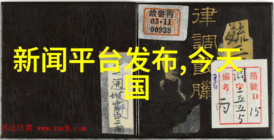 中国女孩赵若熙闪耀亮相巴黎名媛舞会 绽放多元魅力